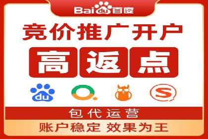 SEM代运营成功案例：打造行业领先品牌